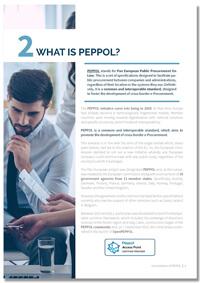 Peppol-netwerk