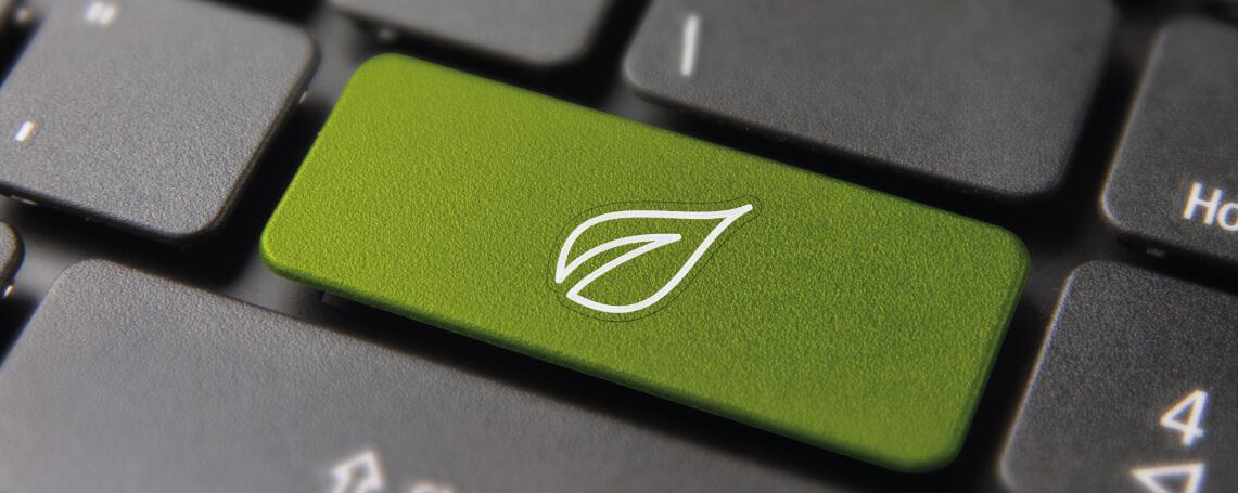 Duurzame digitalisering voor een ecologische transitie