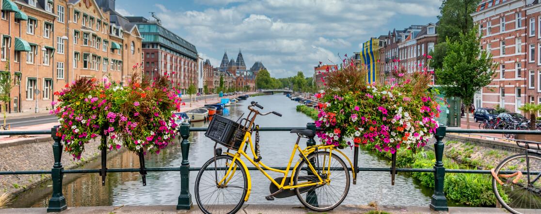 Nederlandse holland e-facturatie