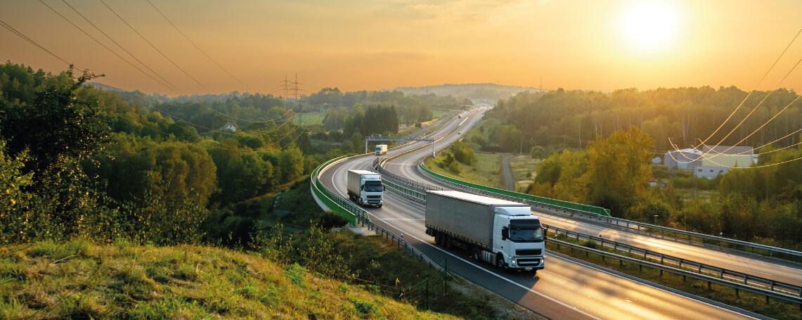 Roemenië introduceert het RO e-Transport-systeem voor het vervoer van  goederen met een hoog fiscaal risico | EDICOM