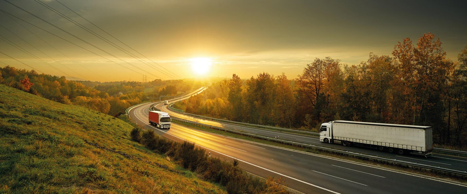 elektronische leveringsbonnen in Servië